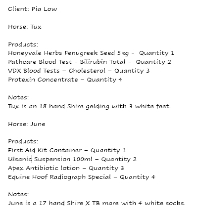 Example of how to speak or type an invoice transcript